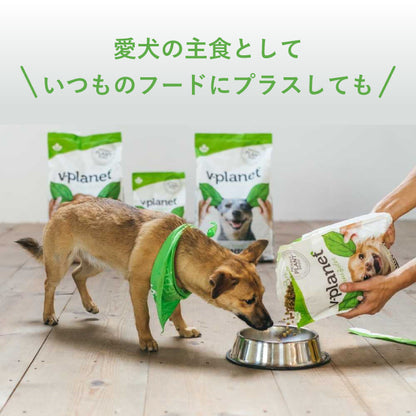 完全植物性のヴィーガンドッグフード｜Vプラネット 小型犬用 小粒 2kg