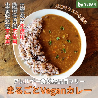 まるごとVeganカレー（2食分） 油・グルテン・五葷食材・砂糖含む甘味料すべて不使用！アレルゲン28品目不使用