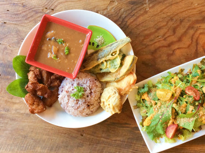 まるごとVeganカレー（2食分） 油・グルテン・五葷食材・砂糖含む甘味料すべて不使用！アレルゲン28品目不使用