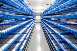 本当にすごいテンペ！ルストノさんのテンペ（北海道産大豆） ルストテンペ