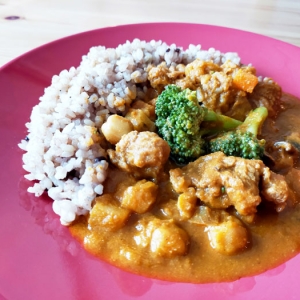 curry_diet_vegancube
